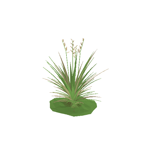 Low-poly Nature 3D model: Infield Grass Tuft