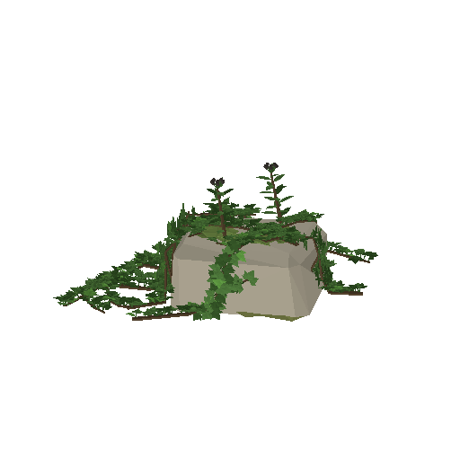 Low-poly Nature 3D model: Ivy Overgrowth
