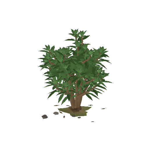 Low-poly Nature 3D model: Laurel Shrub