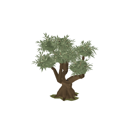Low-poly Nature 3D model: Olive Tree
