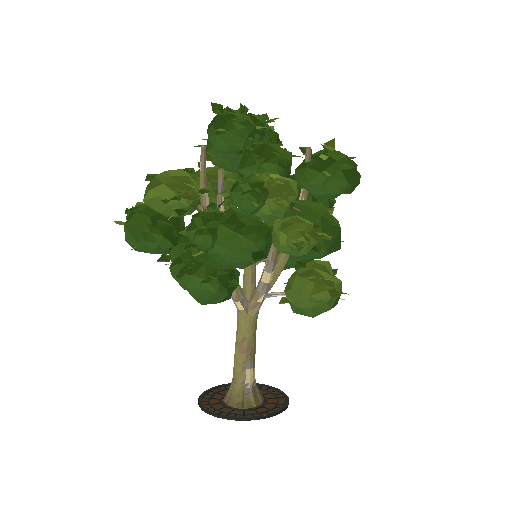 Low-poly Nature 3D model: Plane Tree 01