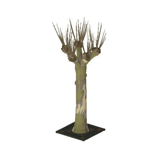 Low-poly Nature 3D model: Pollard Plane 01