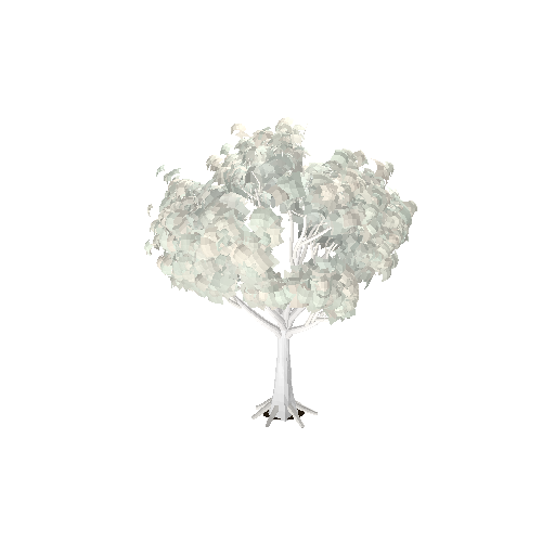 Low-poly Nature 3D model: Realistic Park Tree 01
