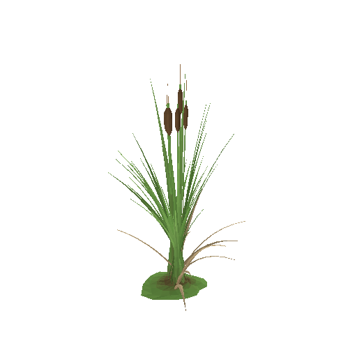 Low-poly Nature 3D model: Reed Clump