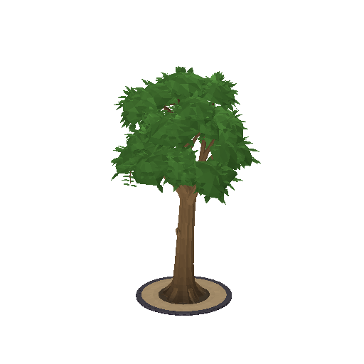 Low-poly Nature 3D model: Park Shade Tree