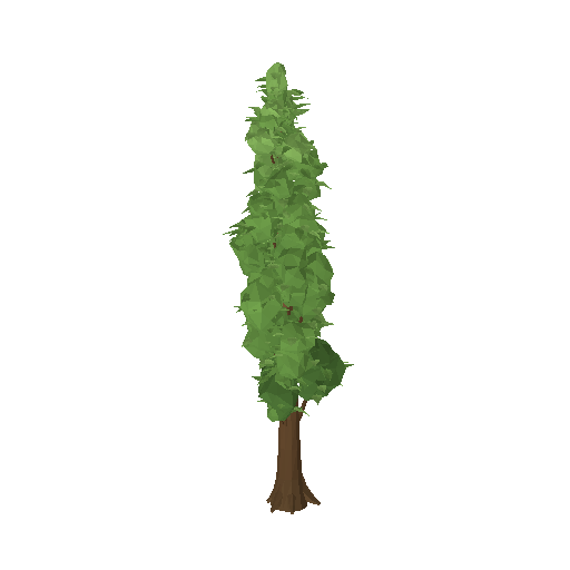 Low-poly Nature 3D model: Windbreak Poplar